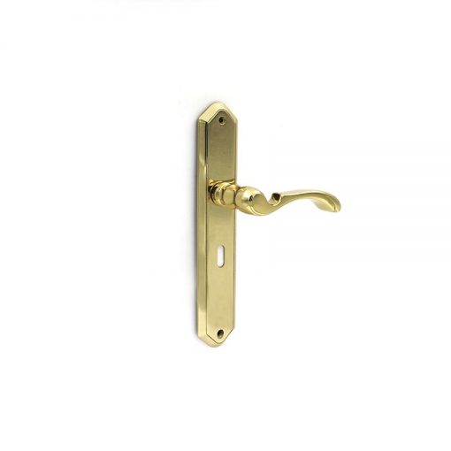 Euro Brass - EB1108 - Iris lever handle on long plate (Polished Brass)