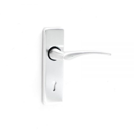 Euro Brass - EB1165 - Waterbuck lever handle on short plate (Nat Alu)