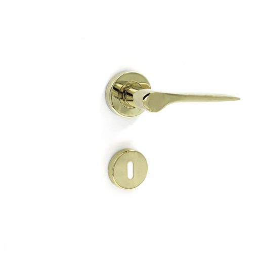 Euro Brass - EB1310 - SX2002 lever handle on rose (PVD)