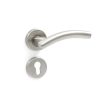 Euro Brass - EB1423 - Arched T lever handle on rose (SS)