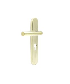 EB1335 - Eurobrass Straight Handle on Long Plate with Cylinder Cut-out PVD Stainless Steel